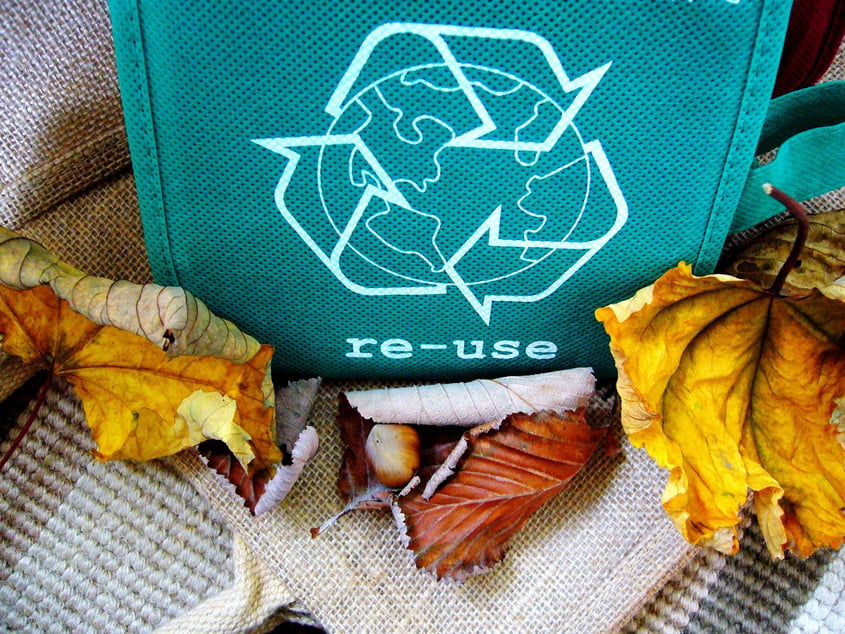 Single Reusable Bag