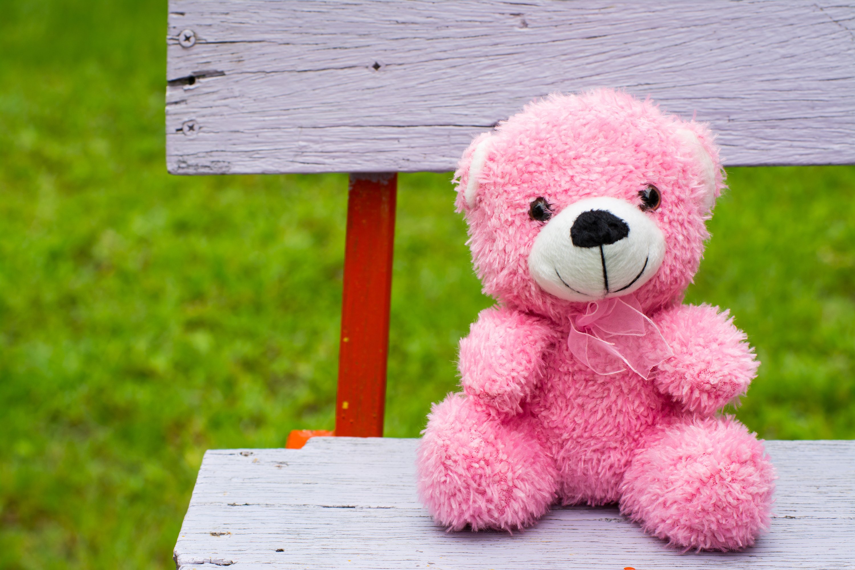 pink teddy bear on a vintage bench